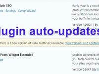 ข้อดี-ข้อเสีย WordPress Plugin auto update